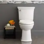 American Standard Toilet Image 2