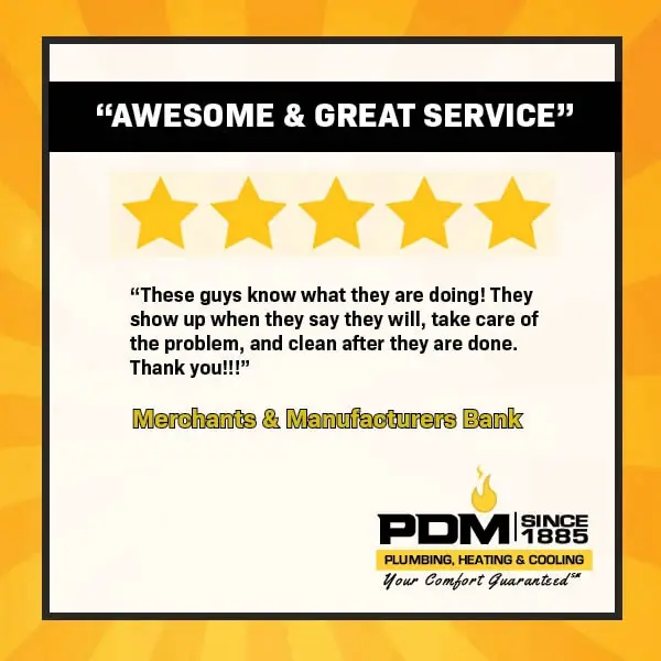 PDM Service Review