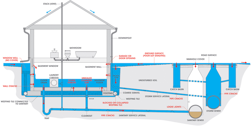 Home sewer and drains