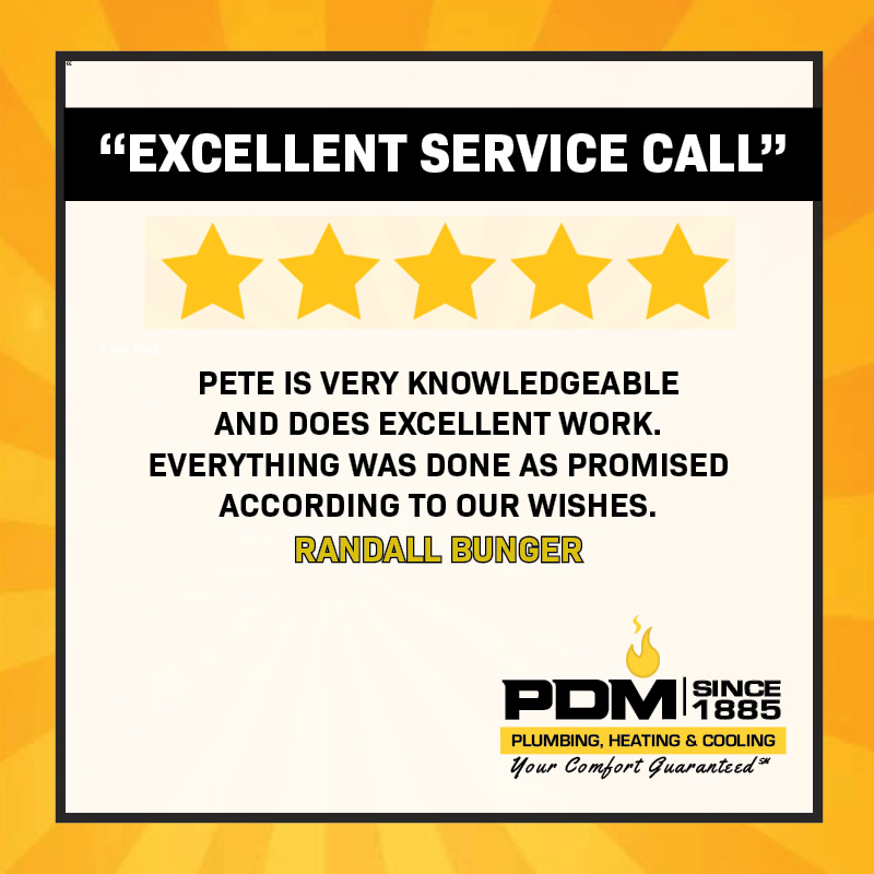 Pdm Service Review