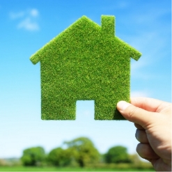 Green Home Indoor Air Quality