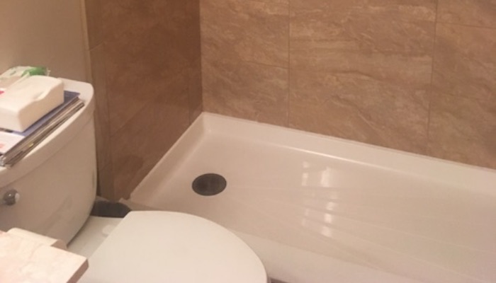 Pdm Shower And Toliet Remodel