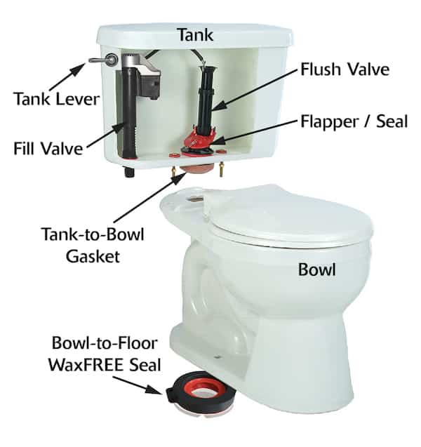 Common Toilets Leaks From The Oldest Plumber Around Pdm Plumbing - Bathroom Toilet Water Valve Leaks When Closed